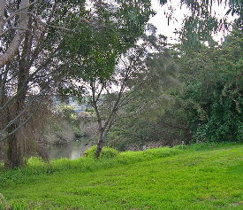 Apollo Bay Recreation Reserve Caravan And Camp Park - Accommodation Gold Coast 3