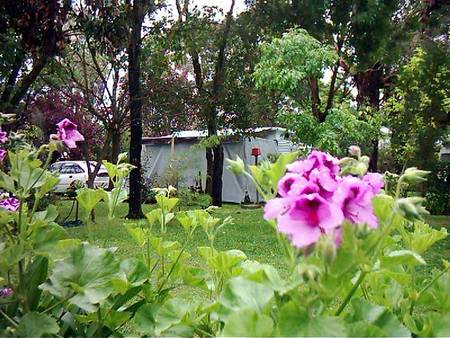 Beach Park Tourist Caravan Park - Gold Coast 4U 2