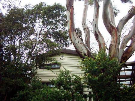 Beach Park Tourist Caravan Park - Gold Coast 4U 3