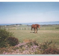 First Class Bed and Breakfast - Accommodation Gold Coast