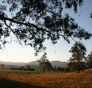 Cann River Rainforest Caravan Park - Accommodation Gold Coast