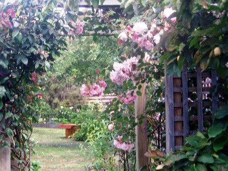 Hudspeth House Bed And Breakfast - Accommodation Gold Coast 2