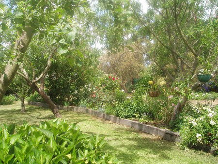 Hudspeth House Bed And Breakfast - Accommodation Gold Coast 5