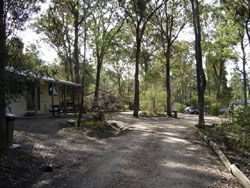 Lakes Bushland Caravan Park - Accommodation Gold Coast 0