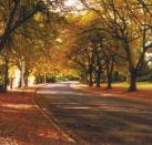 La Trobe at Beechworth - 1 Gold Coast