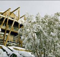 Silverski - Accommodation Gold Coast