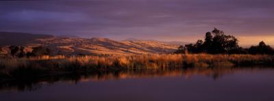 Wombat Hills Cottages - Accommodation Gold Coast 3