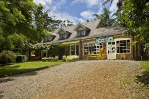 Curtis Falls Mountain Retreat - Accommodation Gold Coast 0
