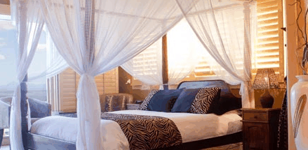 Avocado Sunset - Accommodation Gold Coast 2