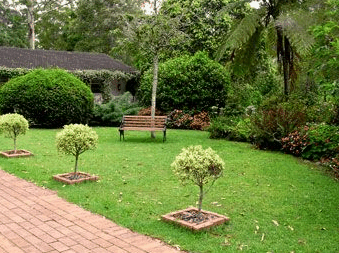 Tall Trees Motel - Accommodation Gold Coast 2