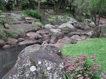 Tall Trees Motel - Accommodation Gold Coast 3