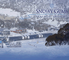 Snowy Gums Chalet - Accommodation Gold Coast