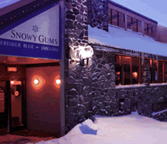 Snowy Gums Chalet - Accommodation Gold Coast 2