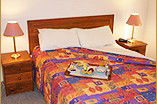 Homestead Motor Inn And Apartments - Accommodation Gold Coast 0