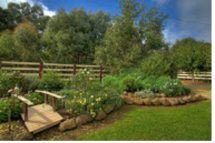 Peppermint Springs Retreat & Day Spa - Accommodation Gold Coast 2