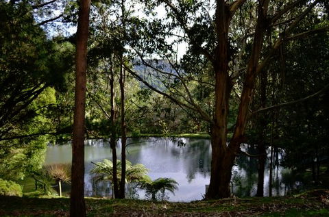 Mirador Springs - Accommodation Gold Coast 1