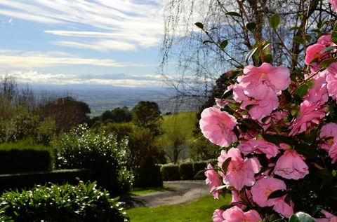 Mirador Springs - Accommodation Gold Coast 2