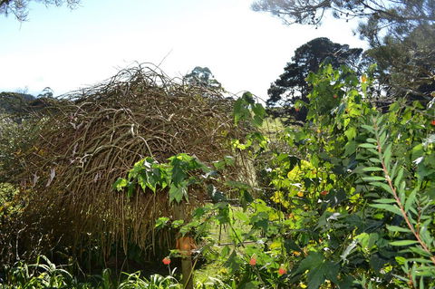 Mirador Springs - Accommodation Gold Coast 3