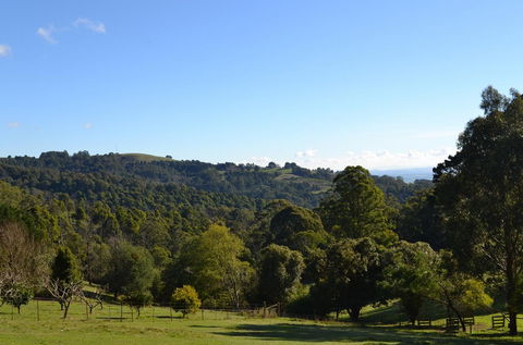 Mirador Springs - Accommodation Gold Coast 4