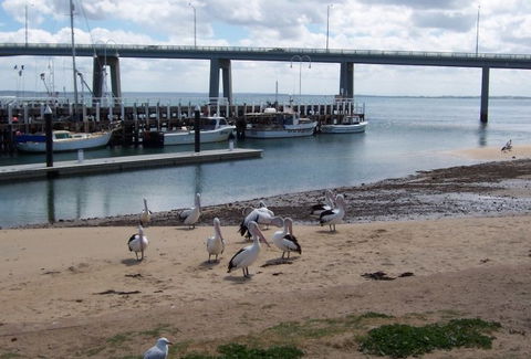 BIG4 Phillip Island Caravan Park - Accommodation Gold Coast 5