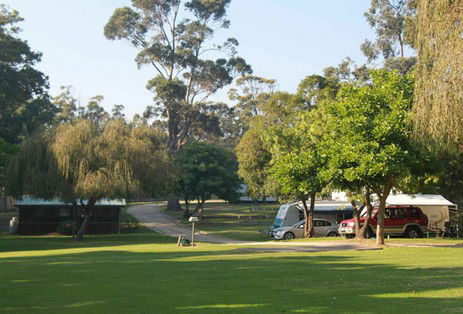 A Wangralea Caravan Park - Accommodation Gold Coast 3