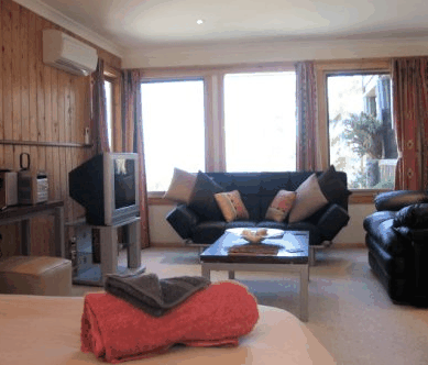 Bed In The Treetops - Accommodation Gold Coast 3