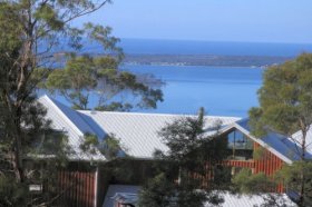 Bed In The Treetops - Accommodation Gold Coast 4