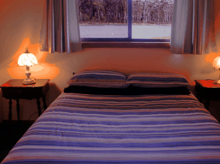 Lake Yalleena Cabins - Accommodation Gold Coast 0