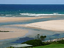 Scamander Beach Hotel Motel - Accommodation Gold Coast