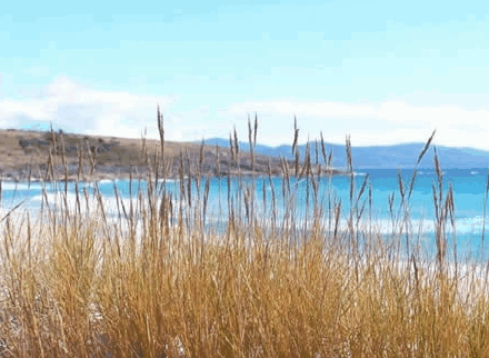 Four Mile Beach TAS Accommodation Gold Coast