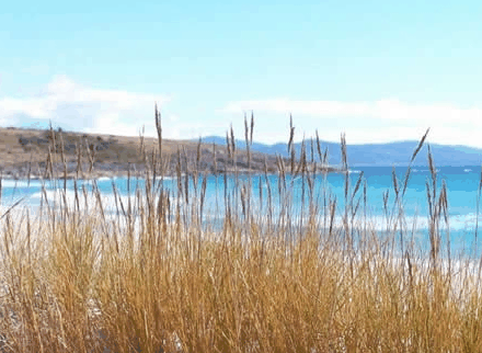 White Sands Estate - Accommodation Gold Coast