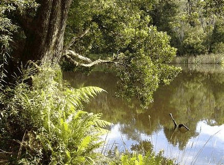  Accommodation Gold Coast