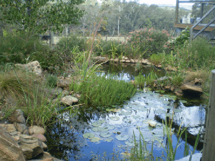 Crabapple Lane Bed & Breakfast - Accommodation Gold Coast 2