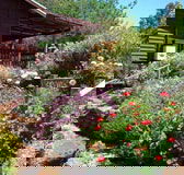 Chestnut Brook Cottage - Gold Coast 4U