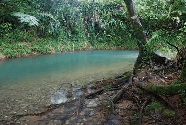 Heritage Lodge And Spa - Accommodation Gold Coast