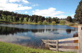 Glenlynn Cottages - Accommodation Gold Coast 0