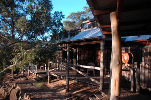 Evedon Park Bush Resort - Accommodation Gold Coast 1