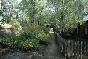 Evedon Park Bush Resort - Accommodation Gold Coast 2