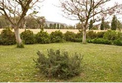 Claremont Cottage - Accommodation Gold Coast 2