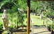 Greenacres Bed And Breakfast - thumb 5
