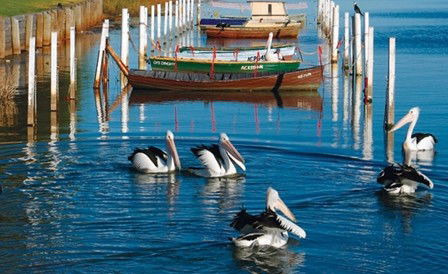 Windang Beach Tourist Park - Gold Coast 4U 4