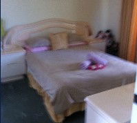 Lake Illawarra Bed & Breakfast - Gold Coast 4U 2