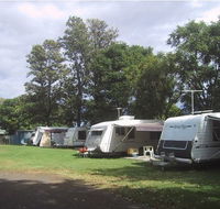 Waioma Caravan Park - Accommodation Gold Coast