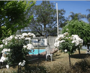 Aromet Motor Inn - Accommodation Gold Coast 5