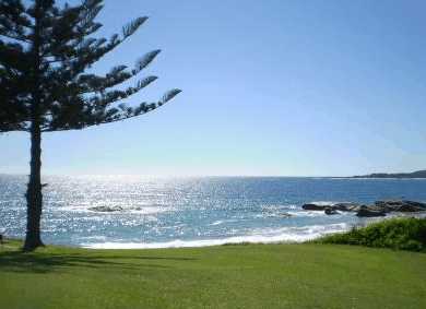 Next Seabreeze Beach Hotel - Accommodation Gold Coast 1