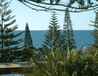 Next Seabreeze Beach Hotel - Accommodation Gold Coast 2