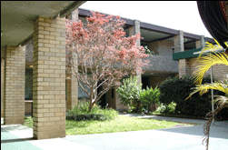 Amg Ryde Sydney - Accommodation Gold Coast 0