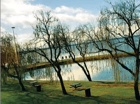 Lake Mulwala Holiday Park - Accommodation Gold Coast 2