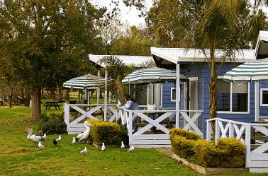 Lake Mulwala Holiday Park - Accommodation Gold Coast 3