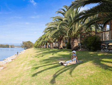 Riverbreeze Tourist Park - Accommodation Gold Coast 2